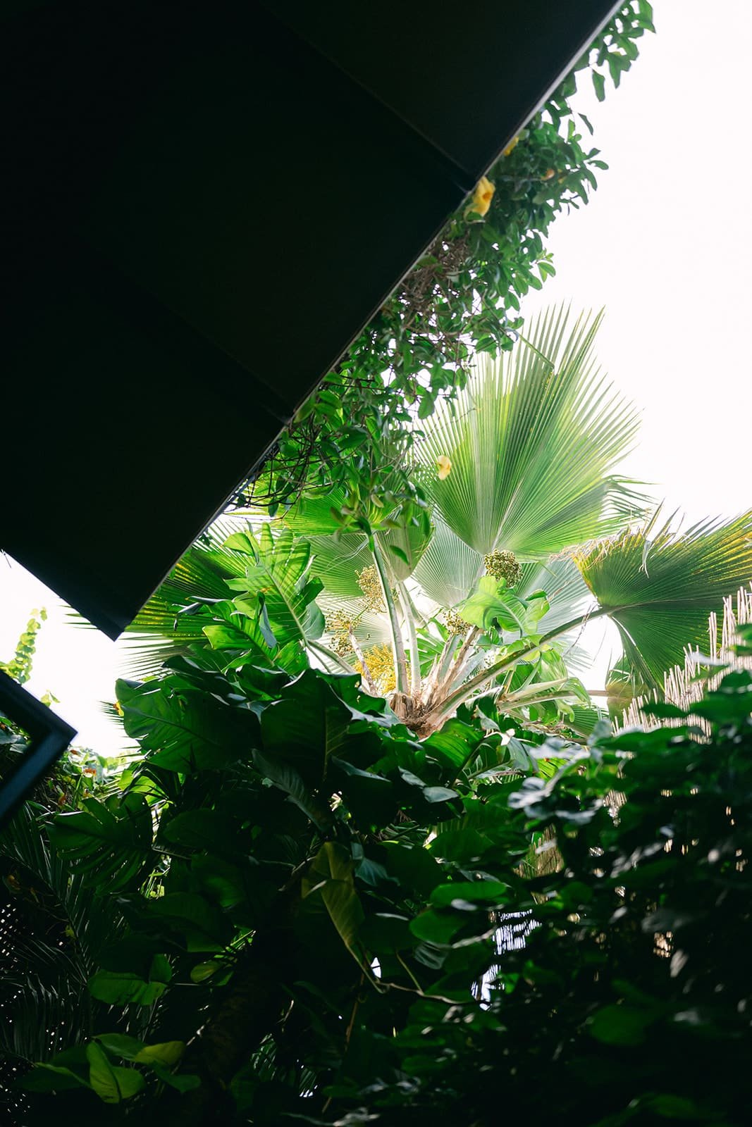 Patio central 2